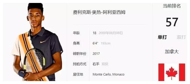 把整篇文章 把整篇文章