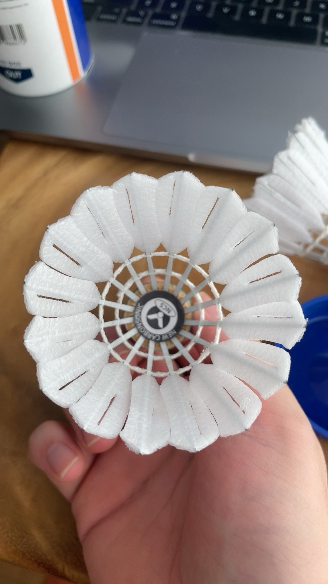 勢力的雄心 勢力的雄心