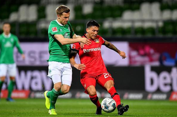 可能会采取 可能会采取